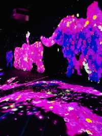 沉浸在未來藝術的奇幻世界：福岡 teamLab Forest