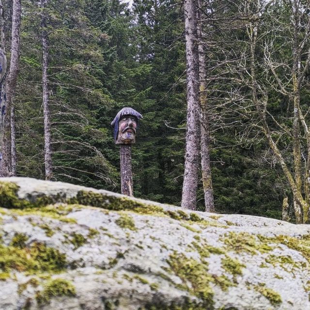 Fløyen Forest, Bergen