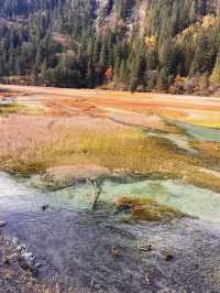 Exploring Jiuzhai Valley: A Natural Wonderland