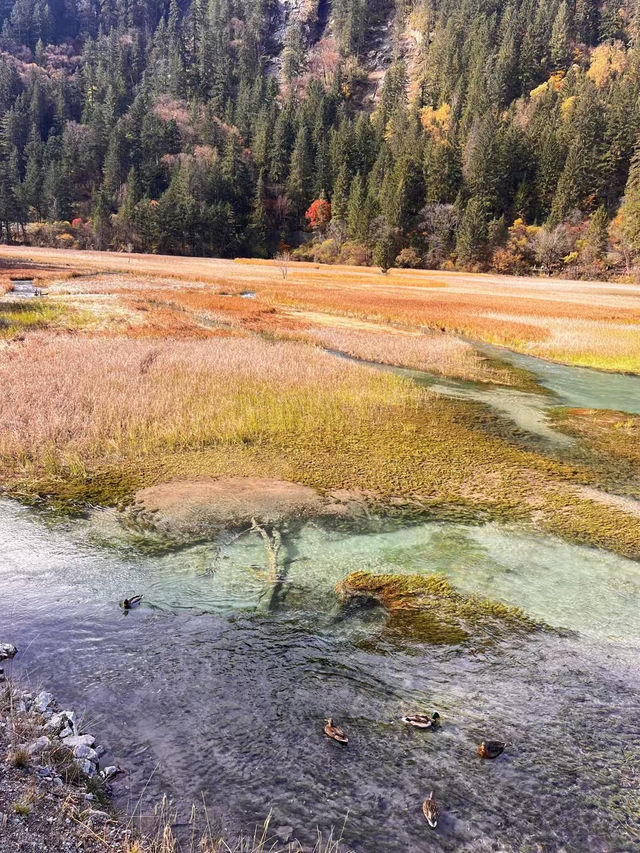 Exploring Jiuzhai Valley: A Natural Wonderland