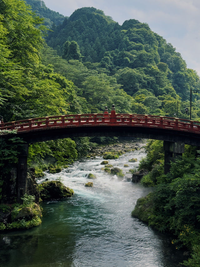 Explore Nikko's Hidden Gem: Toshogu Shrine