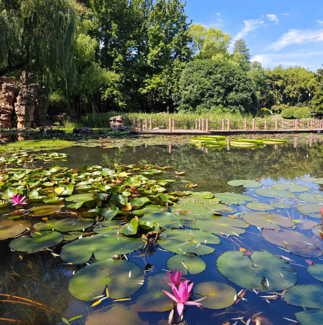 合肥植物園。