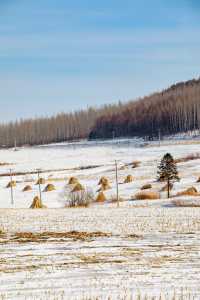 就為這一刻的雪景，我才跨越3000公里來東北