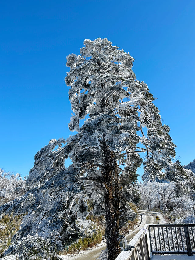 石棉冰雪之旅，兩天一夜解鎖冬季新玩法