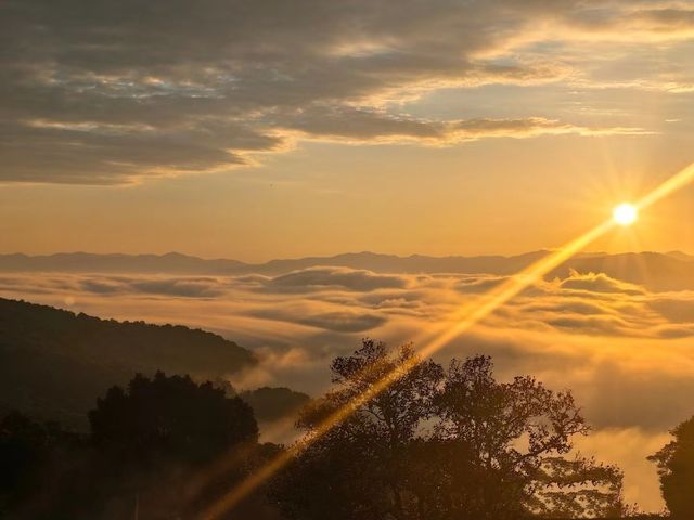 想推薦萬次的暖冬春節避世聖地：景邁山