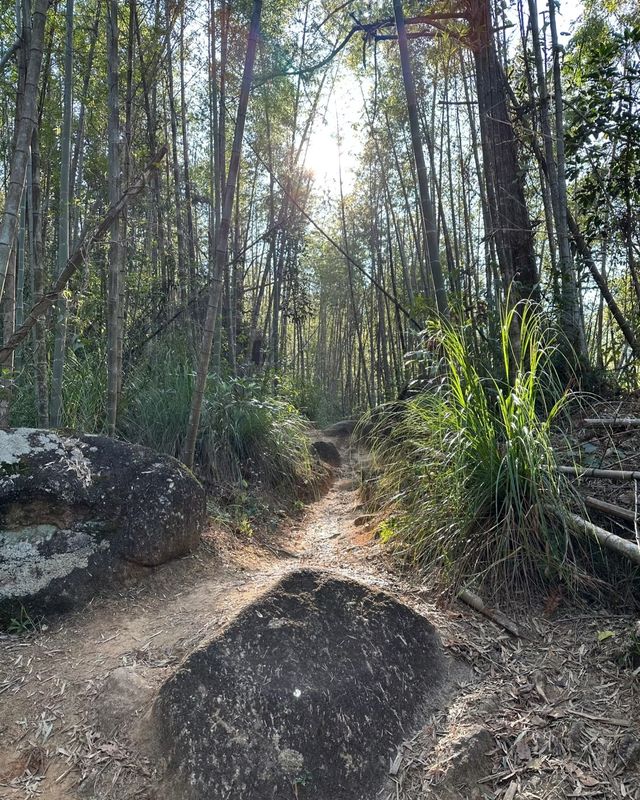 挑戰從化五指山，遇見最美的自己