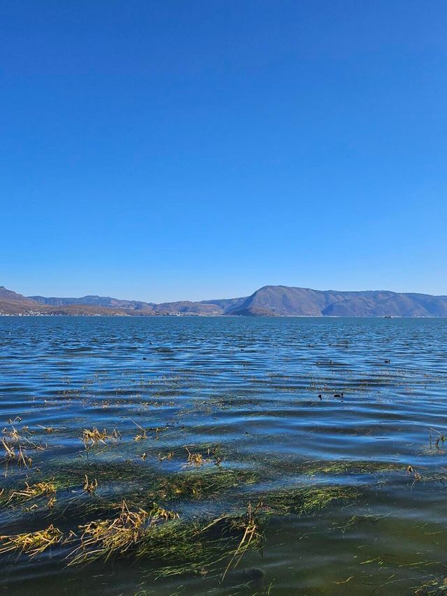 大理洱海漫遊攻略：雲端浪漫與古城韻味