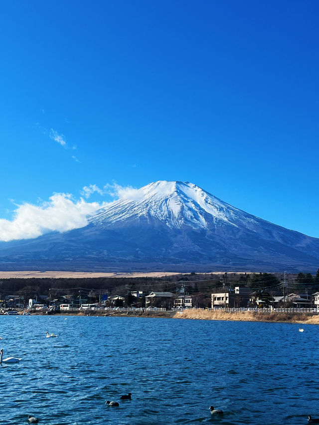 富士山一日遊