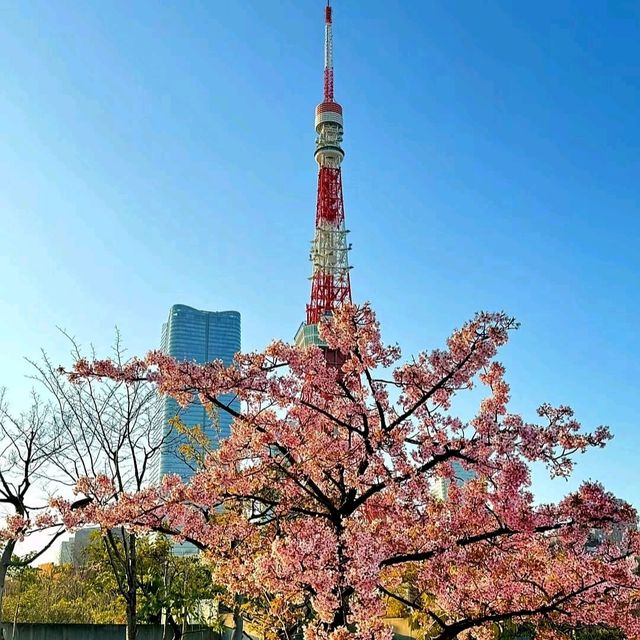 芝公園x 東京鐵塔