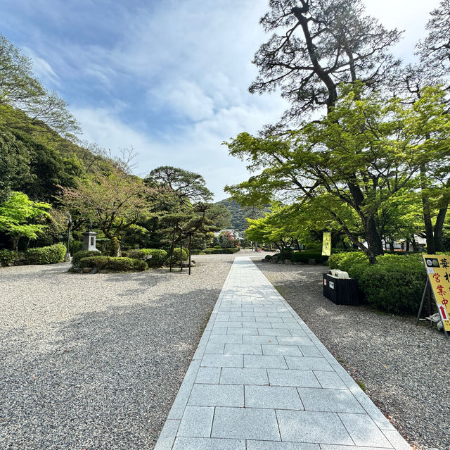 岐阜縣岐阜城半日遊｜松鼠館、金華登山纜車、美食午餐