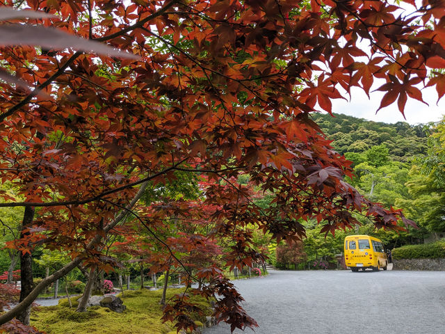 日本京都-古寺池水映秋色的賞楓名所：永觀堂