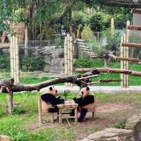 上海動物園⛲️神奇動物世界