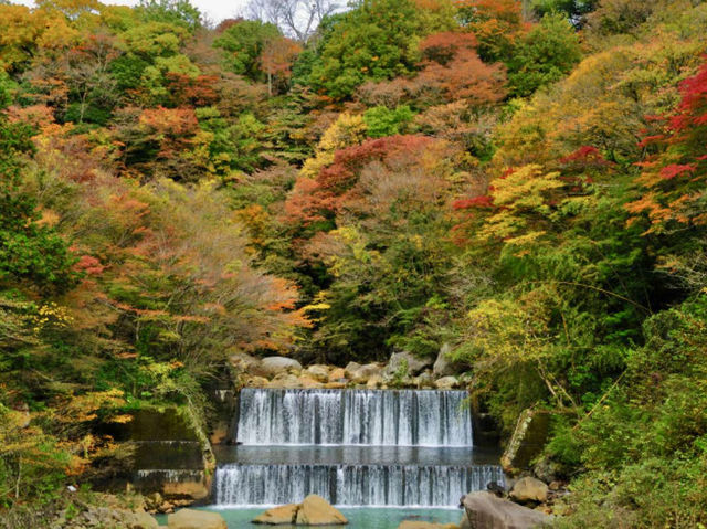 Experience the vibrant colors of fall in Hakone!