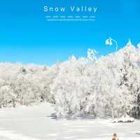 Snow valley สวยมากก