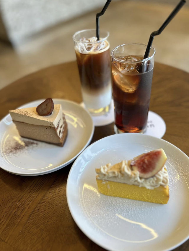 【福岡カフェ】季節のチーズケーキから定番チーズケーキまで🧀どれも食べたい✨️