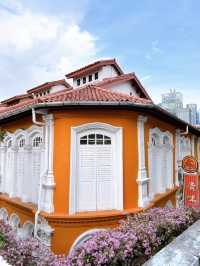 Chinatown's Heritage Buildings and Newer Developments 