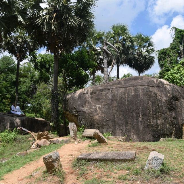 A relaxing walk in the Royal Park 🇱🇰