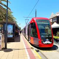 Half day trip to Glenelg beach 