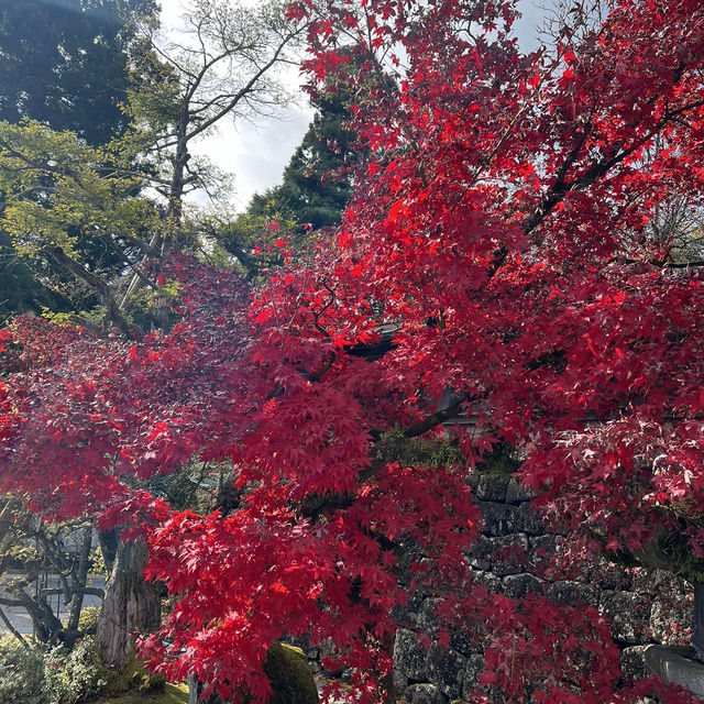 Don’t miss this place NIKKO outside Tokyo!