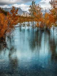 Falling in Love with Alberta’s Nature and Colors 