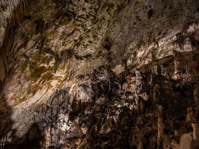 Exploring The Karst of Postojna Cave@Slovenia