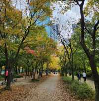 Seoul Forest Park