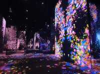 澳門 teamLab 超自然空間 (teamLab SuperNature Macao) 🌌