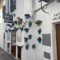 Cordoba y su Mezquita