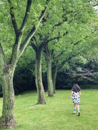 這座隱藏極深的秘密花園，居然開放啦