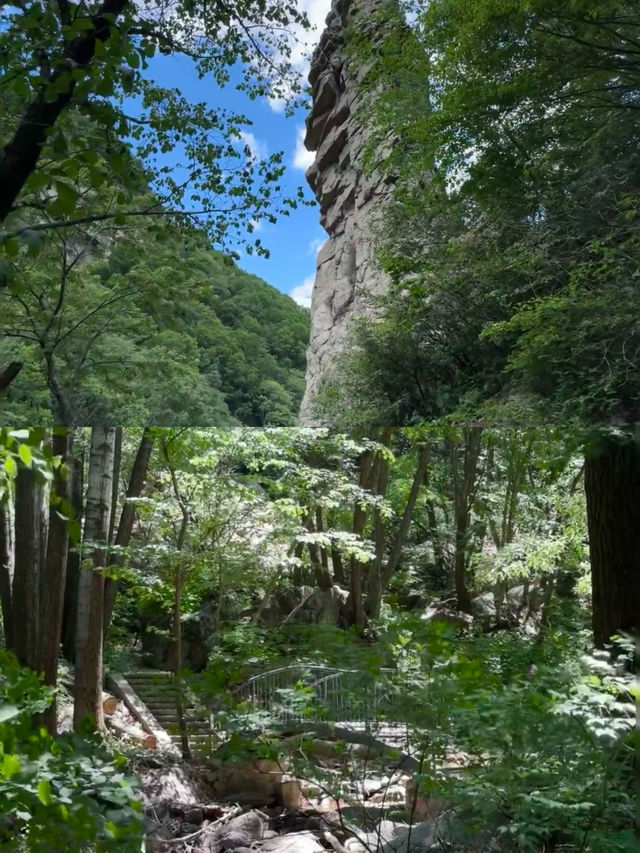 燕山之巔 封閉多年的霧靈山開放啦