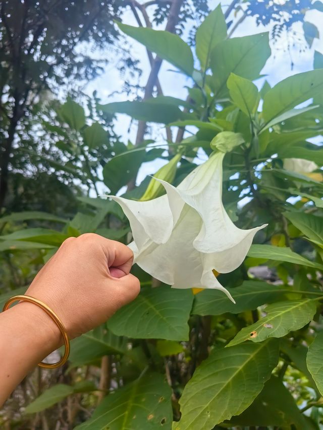 我見過的幾百個廟宇中最簡樸的一個——糯岗佛寺，來到糯干千萬別錯過。