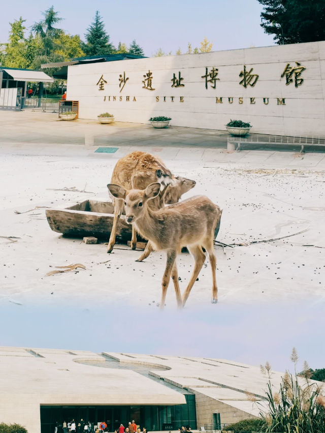 金沙遺址博物館。