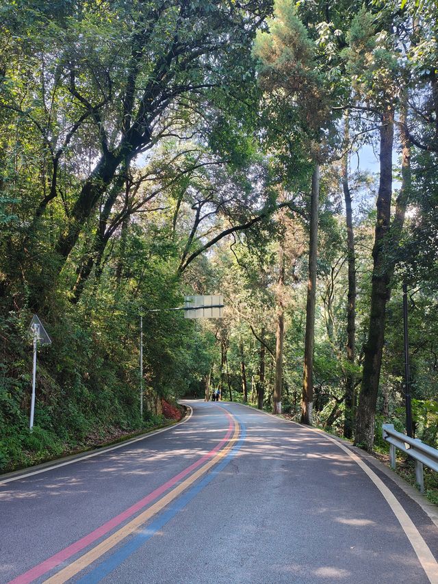 昆明周末爬山好去處—西山公園。