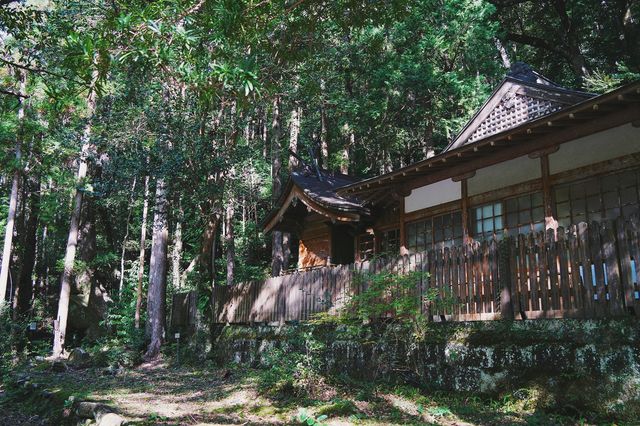 大阪周邊｜花一天時間，感受下世界遺產熊野古道的起點與終點。