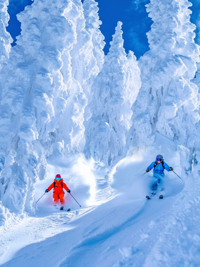 千萬別去神農架滑雪一定要看完