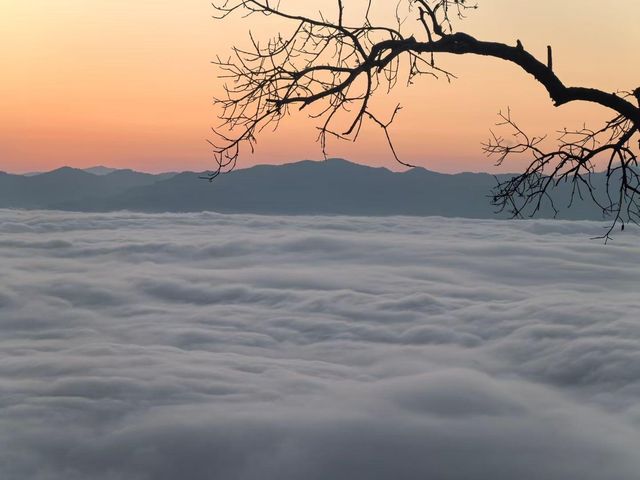 景邁山民宿