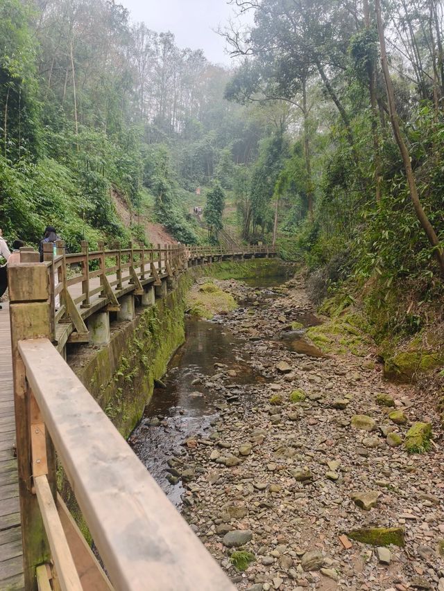 鳳棲山｜鳳舞九天，棲於仙境