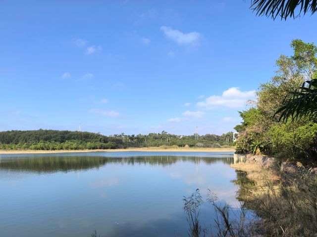 雲月湖風光