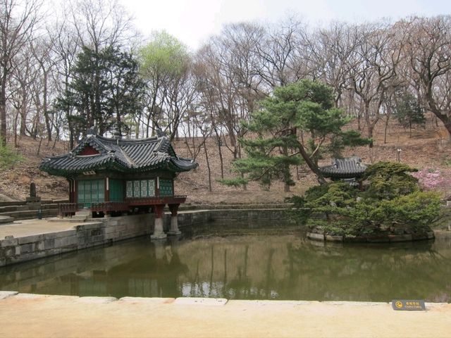 🇰🇷Huwon Garden - a known secret garden