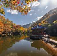 Beautiful Autumn View Naejangsan Park