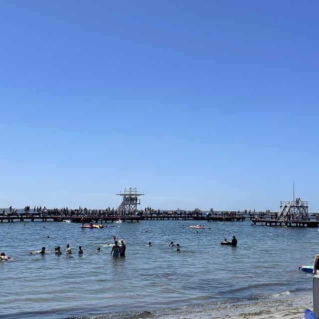 멜버른 당일치기 근교여행, 질롱 라군에서 수영하기 : Eastern Beach