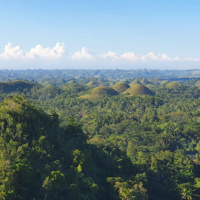 Bohol chocolate hills 