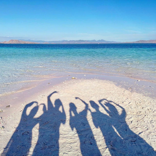 TAKA KOMODO ISLAND