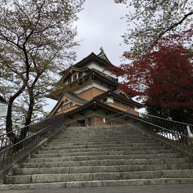 上野城：歷史傳奇與自然景緻，尋找幾分寧靜