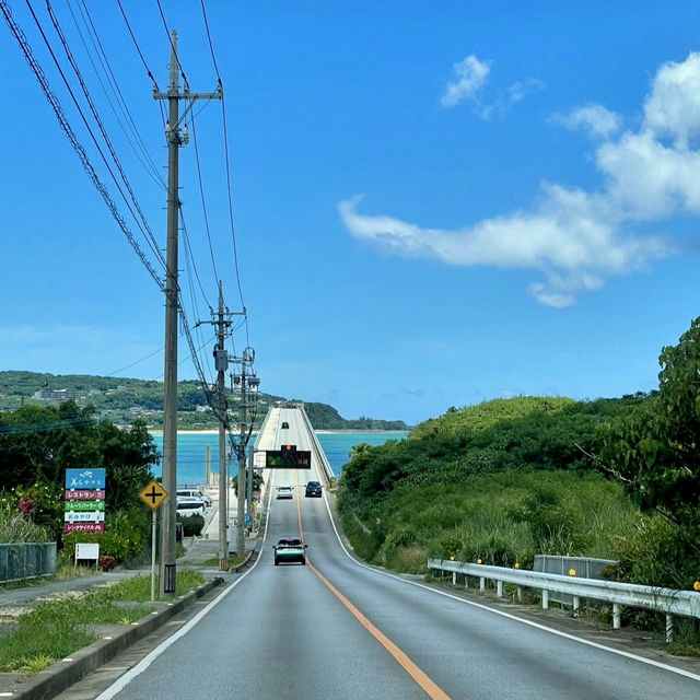  Road Trip🚗 “Okinawa”🌴