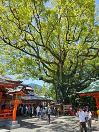 【和歌山】最強のパワースポット✨ 熊野那智大社