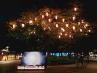 A night festival of ghost at Korean Folk Village, Halloween of the east