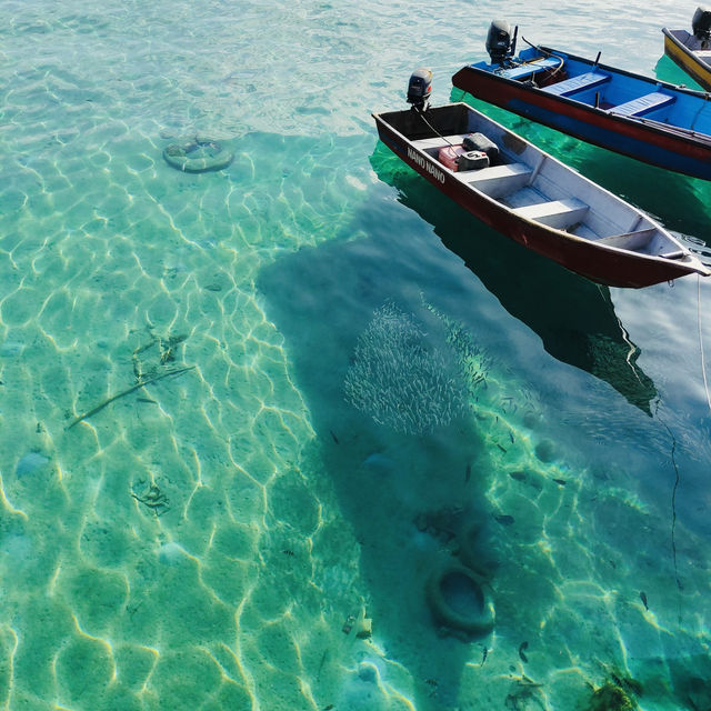 Crystal Waters and Serene Shores: Perhentian Island Bliss