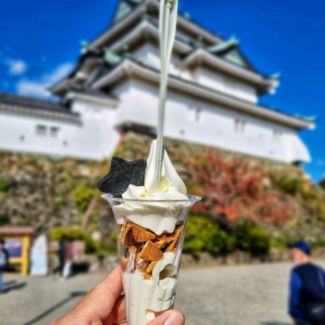 wakayama castle