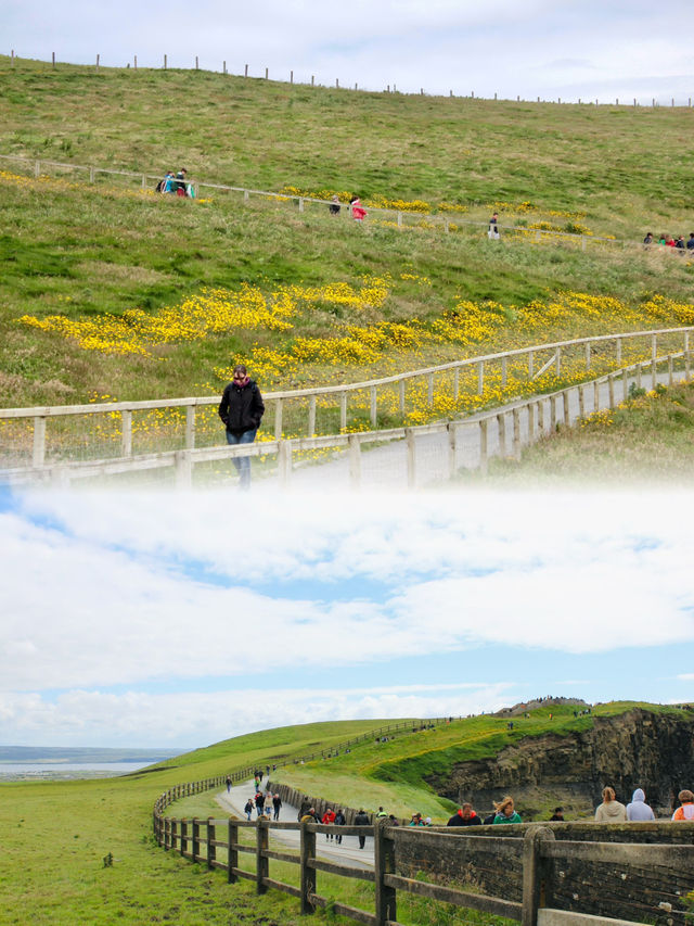 Wild and Windswept: A Summer Visit to the Cliffs of Moher